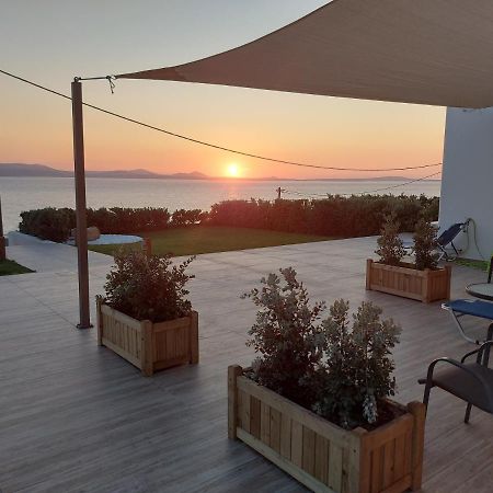Dionysus House And Ariadne Apartment Стеліда Екстер'єр фото